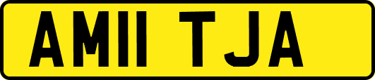 AM11TJA