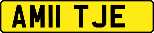 AM11TJE