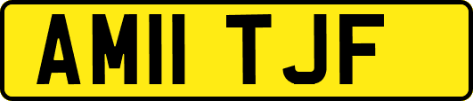 AM11TJF