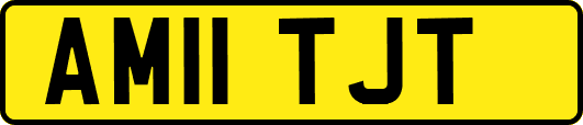 AM11TJT