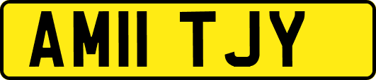 AM11TJY
