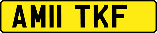 AM11TKF