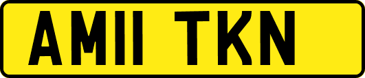 AM11TKN