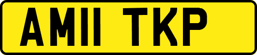 AM11TKP