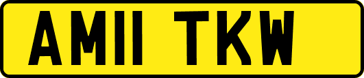 AM11TKW