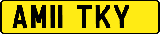 AM11TKY