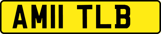 AM11TLB