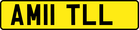 AM11TLL