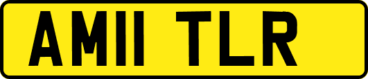 AM11TLR