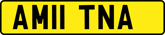 AM11TNA