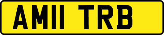 AM11TRB