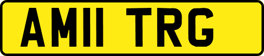 AM11TRG