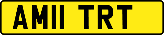 AM11TRT