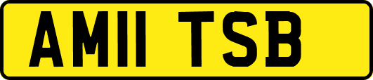 AM11TSB