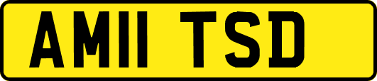 AM11TSD