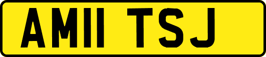 AM11TSJ