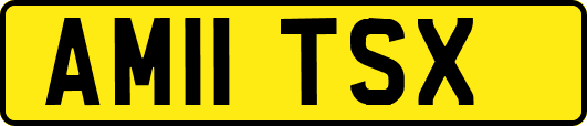 AM11TSX
