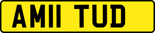 AM11TUD