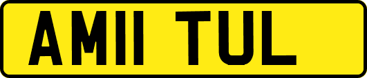AM11TUL