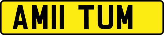 AM11TUM