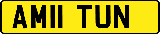 AM11TUN