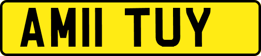 AM11TUY