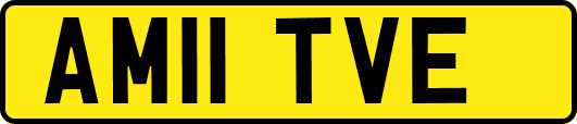 AM11TVE