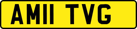 AM11TVG