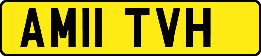 AM11TVH