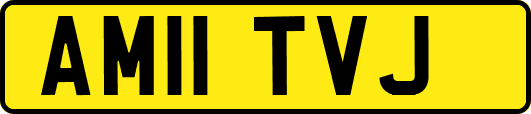 AM11TVJ