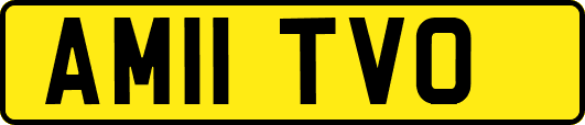AM11TVO