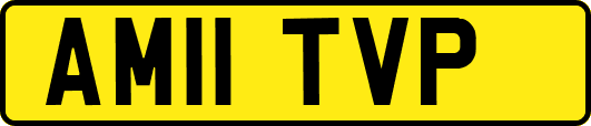 AM11TVP
