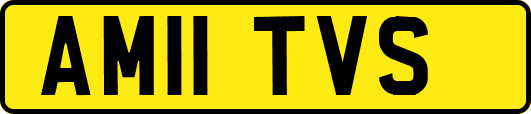 AM11TVS