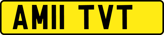 AM11TVT