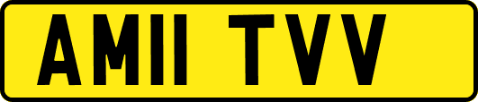 AM11TVV