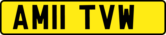 AM11TVW