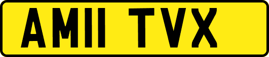 AM11TVX