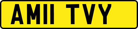 AM11TVY