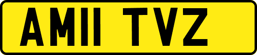AM11TVZ