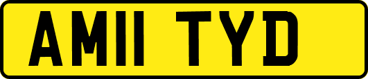 AM11TYD