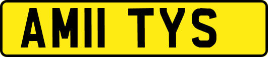 AM11TYS