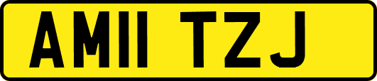 AM11TZJ