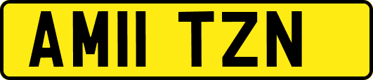AM11TZN