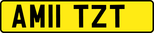AM11TZT