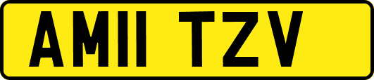AM11TZV