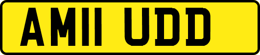 AM11UDD