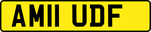AM11UDF