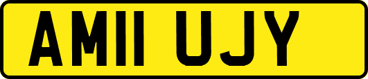 AM11UJY