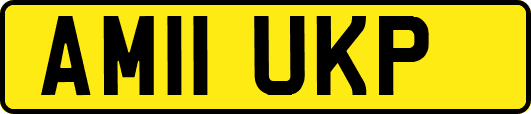 AM11UKP