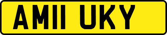 AM11UKY